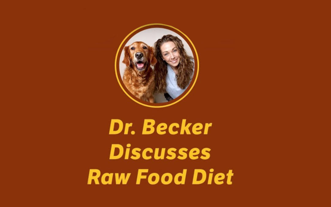 Dr. Becker Discusses Raw Food Diet (Part 3)